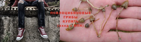 ALPHA PVP Козловка