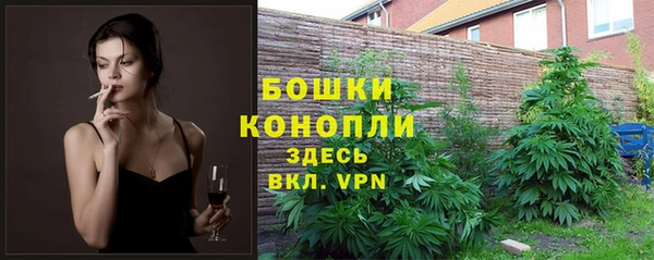 винт Баксан