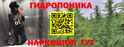 бошки Гусь-Хрустальный