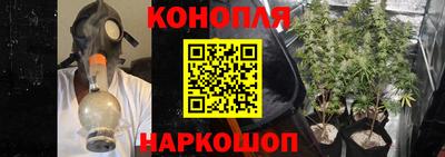 бошки Ставрополь