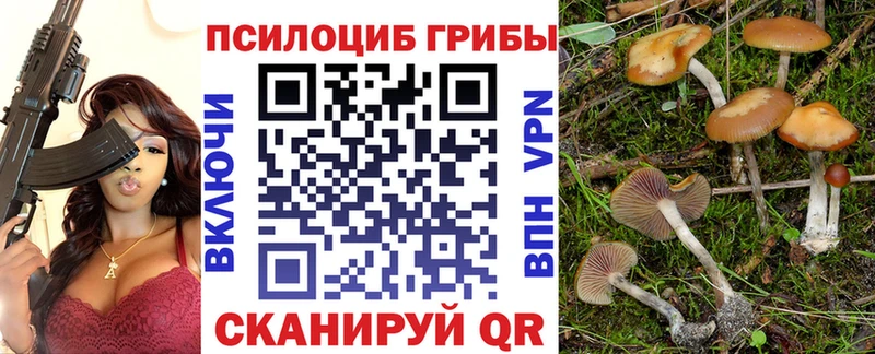 Псилоцибиновые грибы мухоморы Ногинск