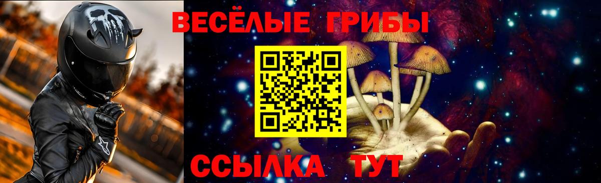 Псилоцибиновые грибы MAGIC MUSHROOMS  Вход с VPN  Ногинск 